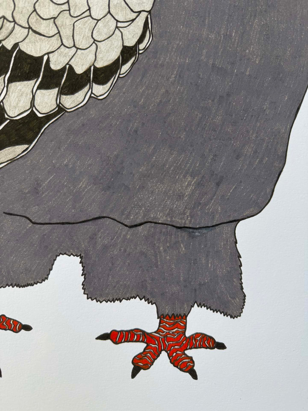 The Pigeon