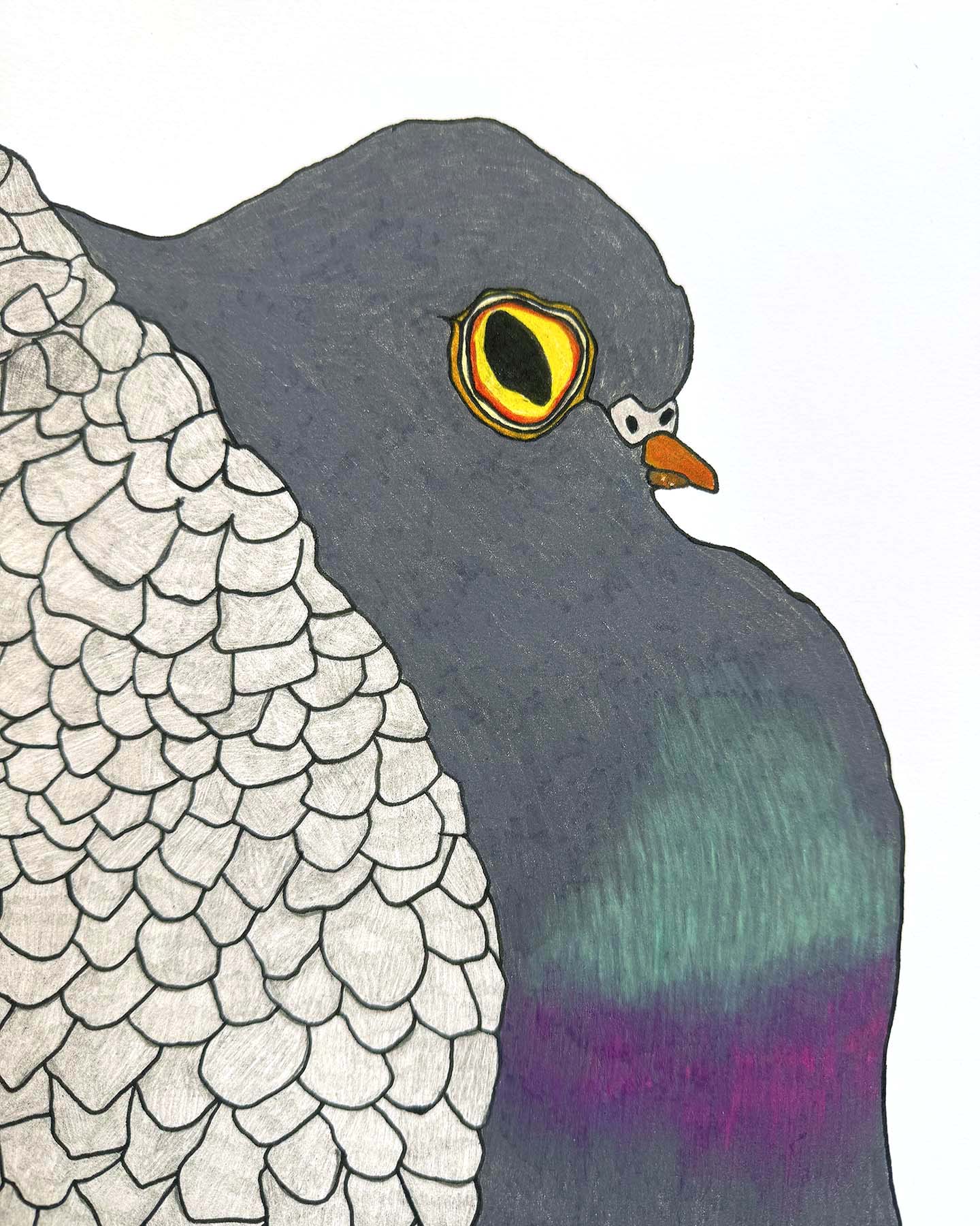 The Pigeon