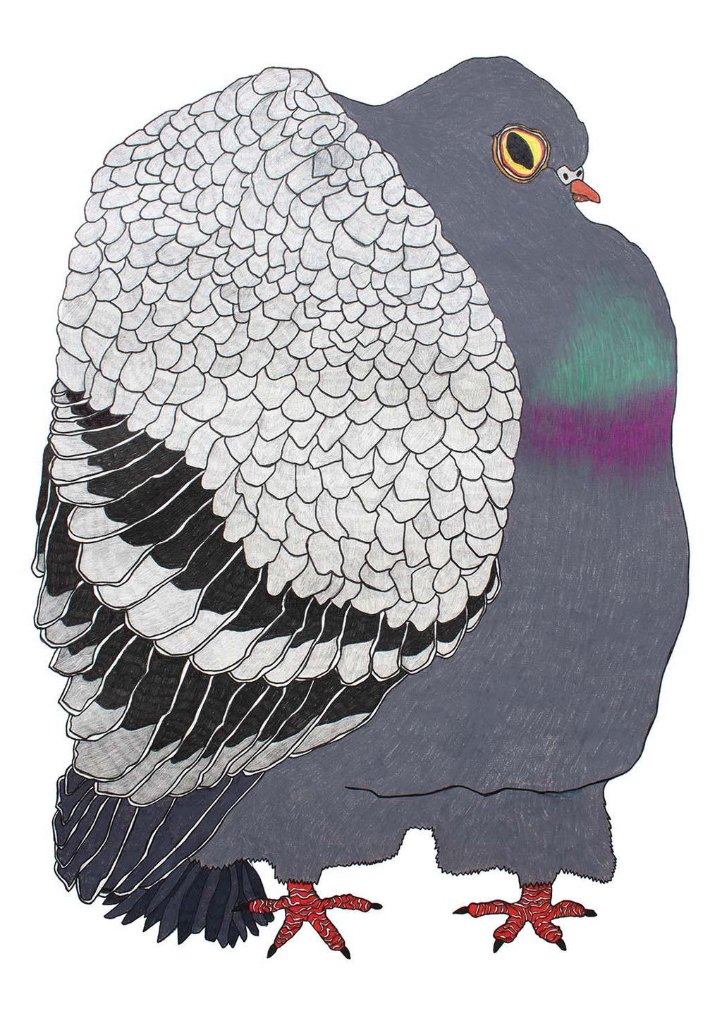 The Pigeon
