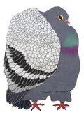 The Pigeon