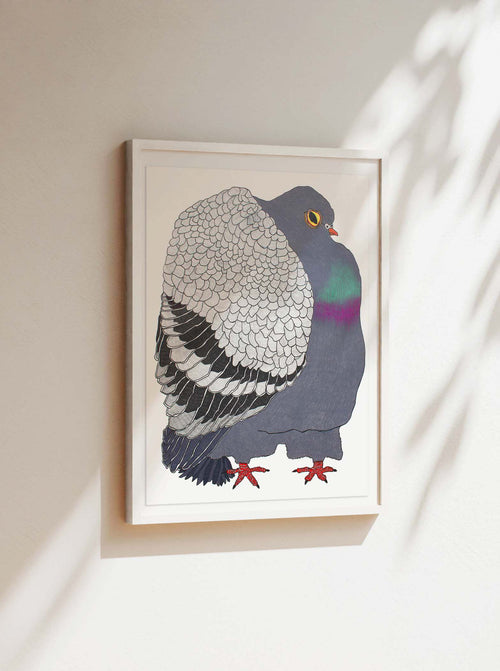 The Pigeon